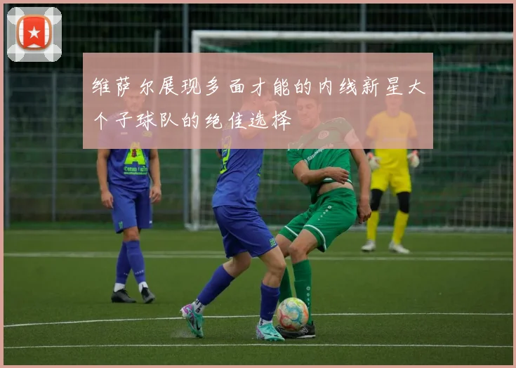 维萨尔展现多面才能的内线新星大个子球队的绝佳选择